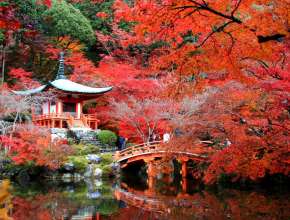 5 địa điểm du lịch Nhật Bản tháng 3 nhất định phải đến